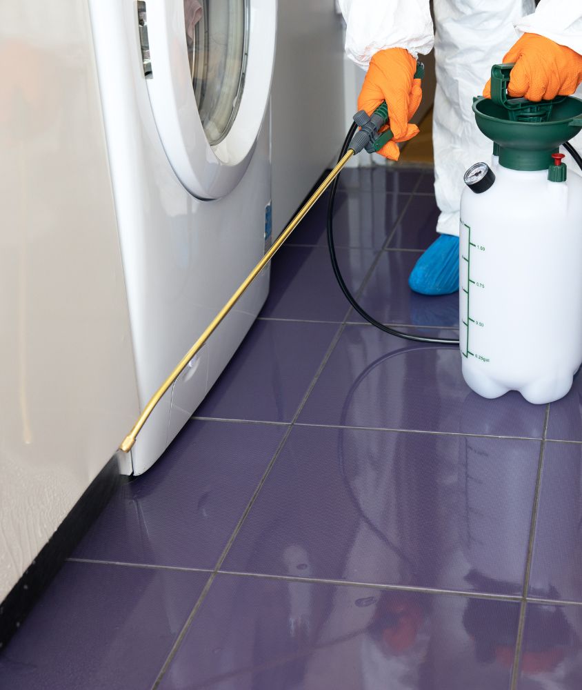 Dedetização em Vila Velha