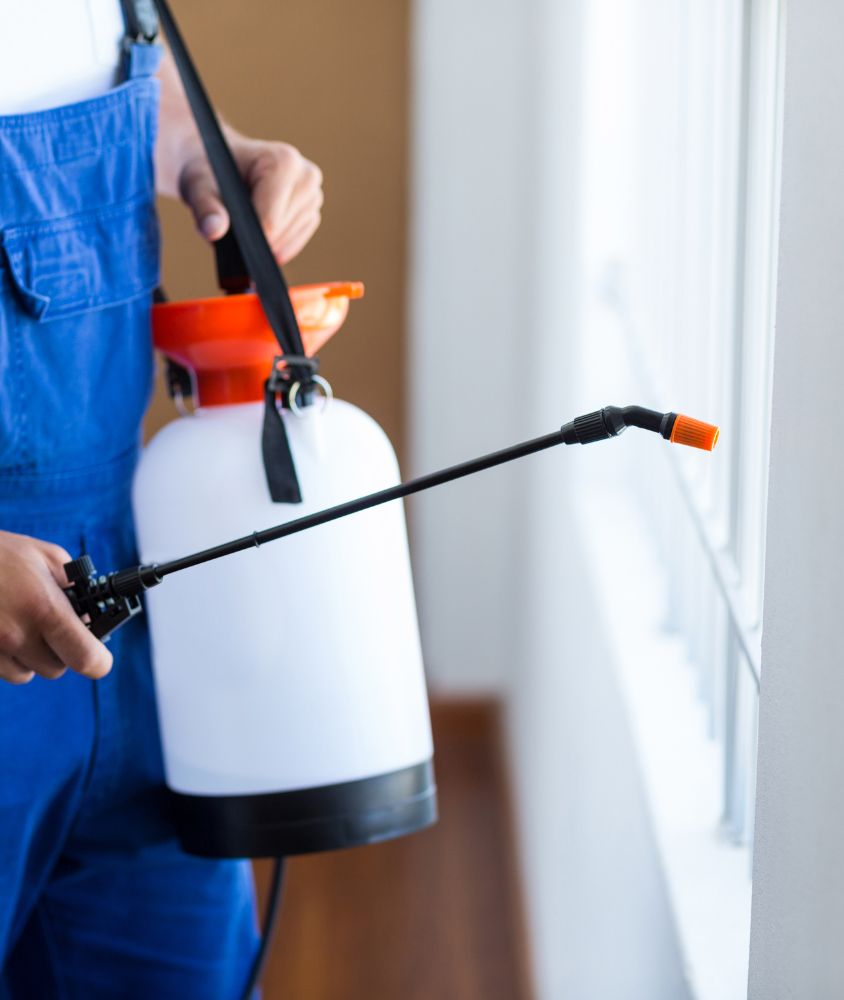 dedetizador em Vila Velha