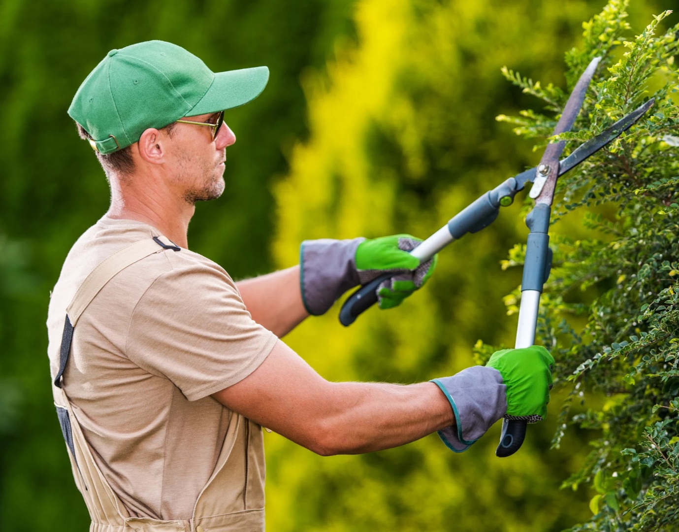 jardineiro andre menezes