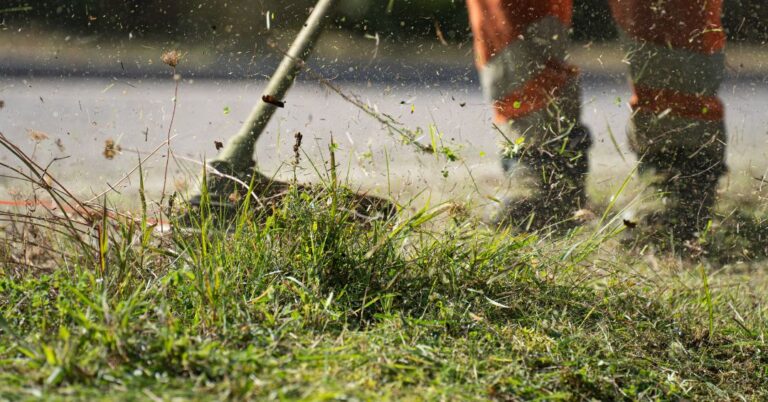 corte de grama em Vila Velha