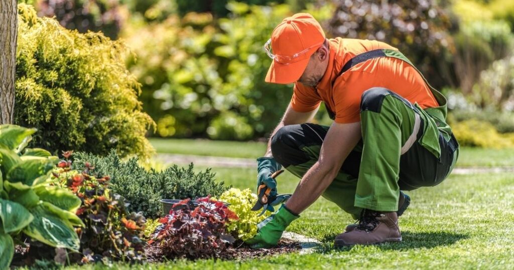 implantação de jardins em Vila Velha