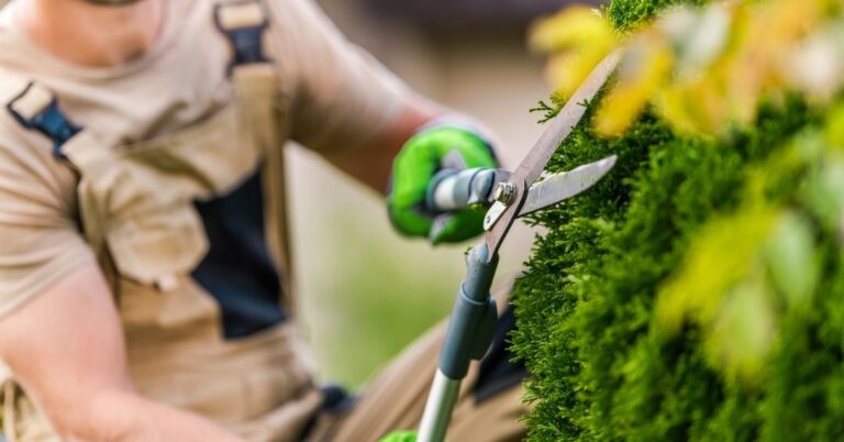 manutenção de áreas verdes em Vila Velha